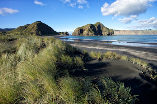 Waitakere Ranges Cliffs Explore New Zealand’s Waitakere Ranges Regional Park – AdventuresNW