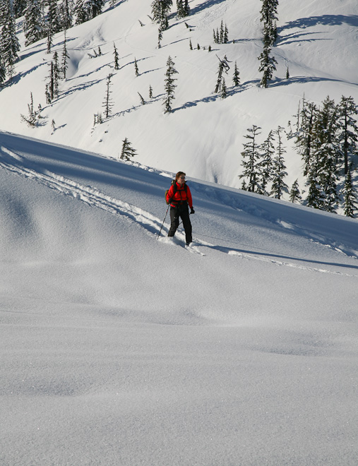 Over the River and Through the Woods Cross Country Ski Trails Along