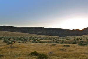 Adventures_NW_Sage_Running-2933