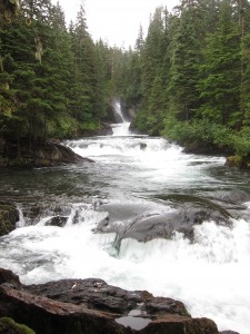Tongass National Forest courtesy of Alaska Wilderness League 