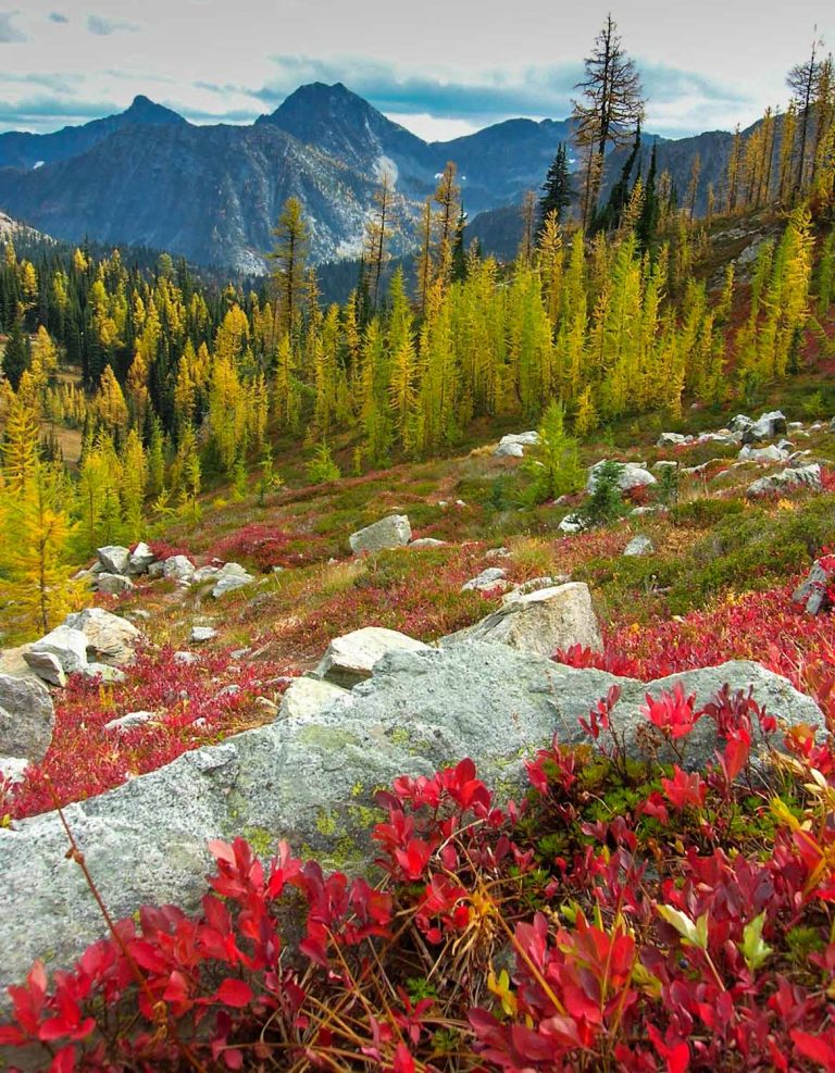 Autumn Ecstasy: The Top 10 Fall Color Hikes in Washington – AdventuresNW