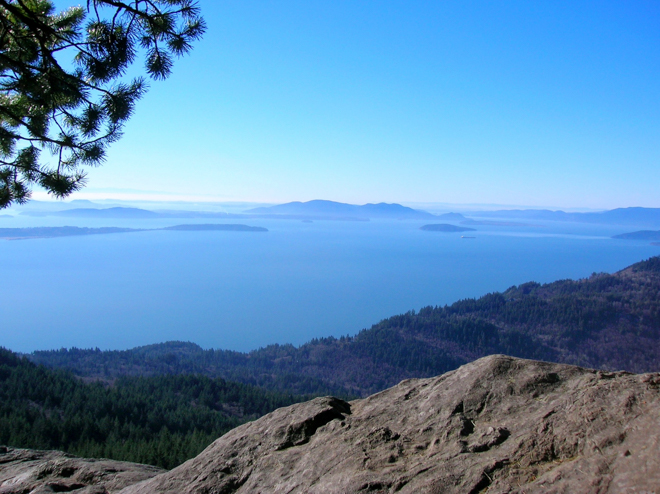 oyster dome