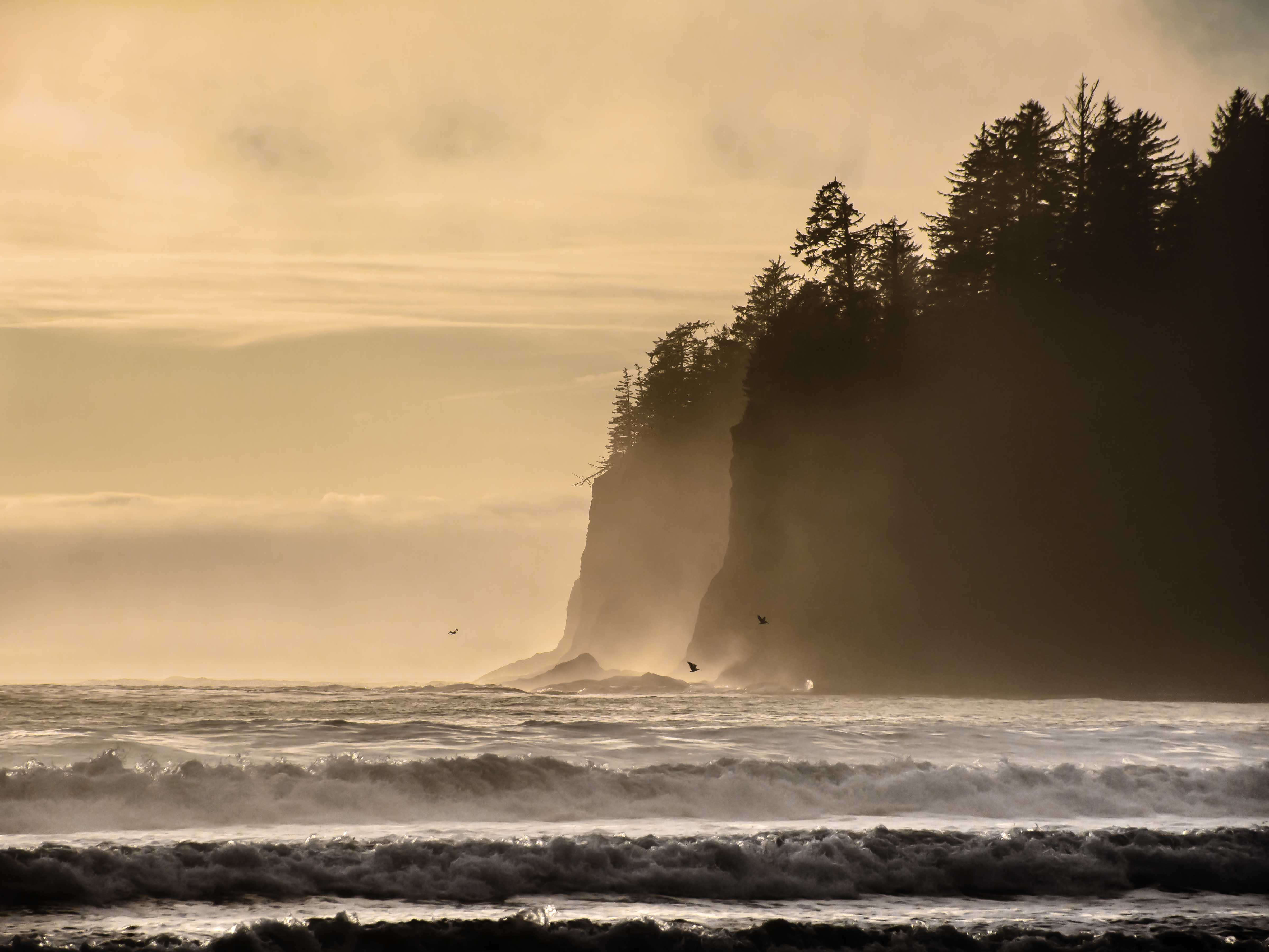 La Push AdventuresNW