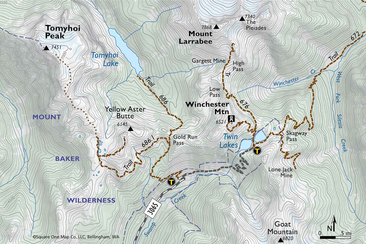 Mt. Baker’s Best Hikes Five Trails AdventuresNW
